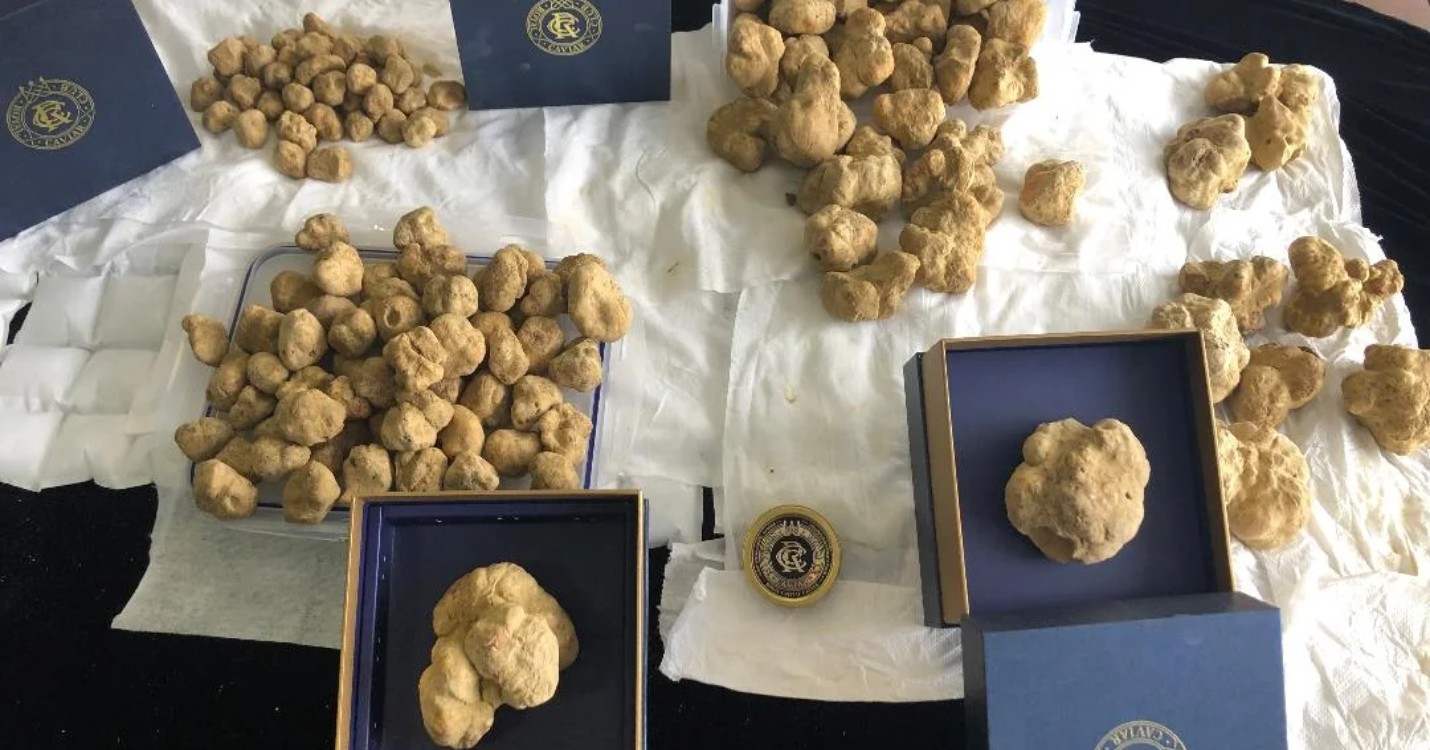 Les truffes blanches arrivent à Hong Kong