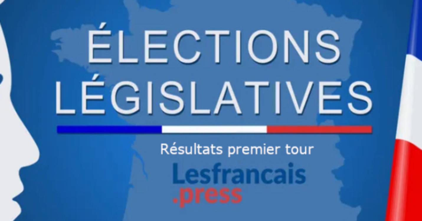 22 candidats pour les 11 circonscriptions des Français de l’étranger