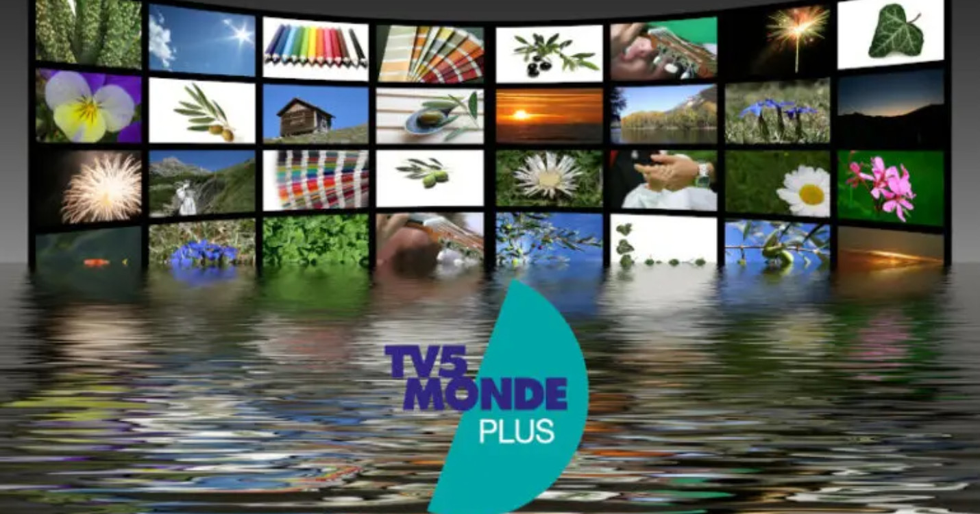 Juin : le mois de l’océan avec TV5MONDEplus