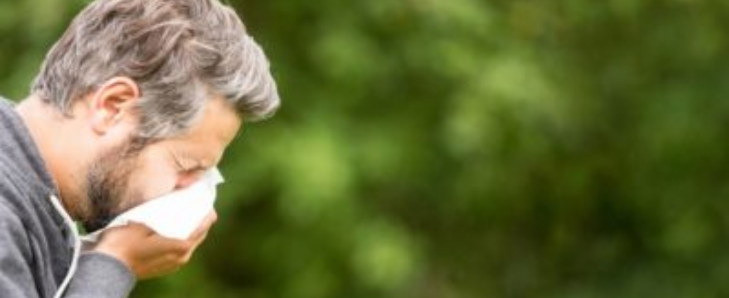 Vaccins contre la grippe