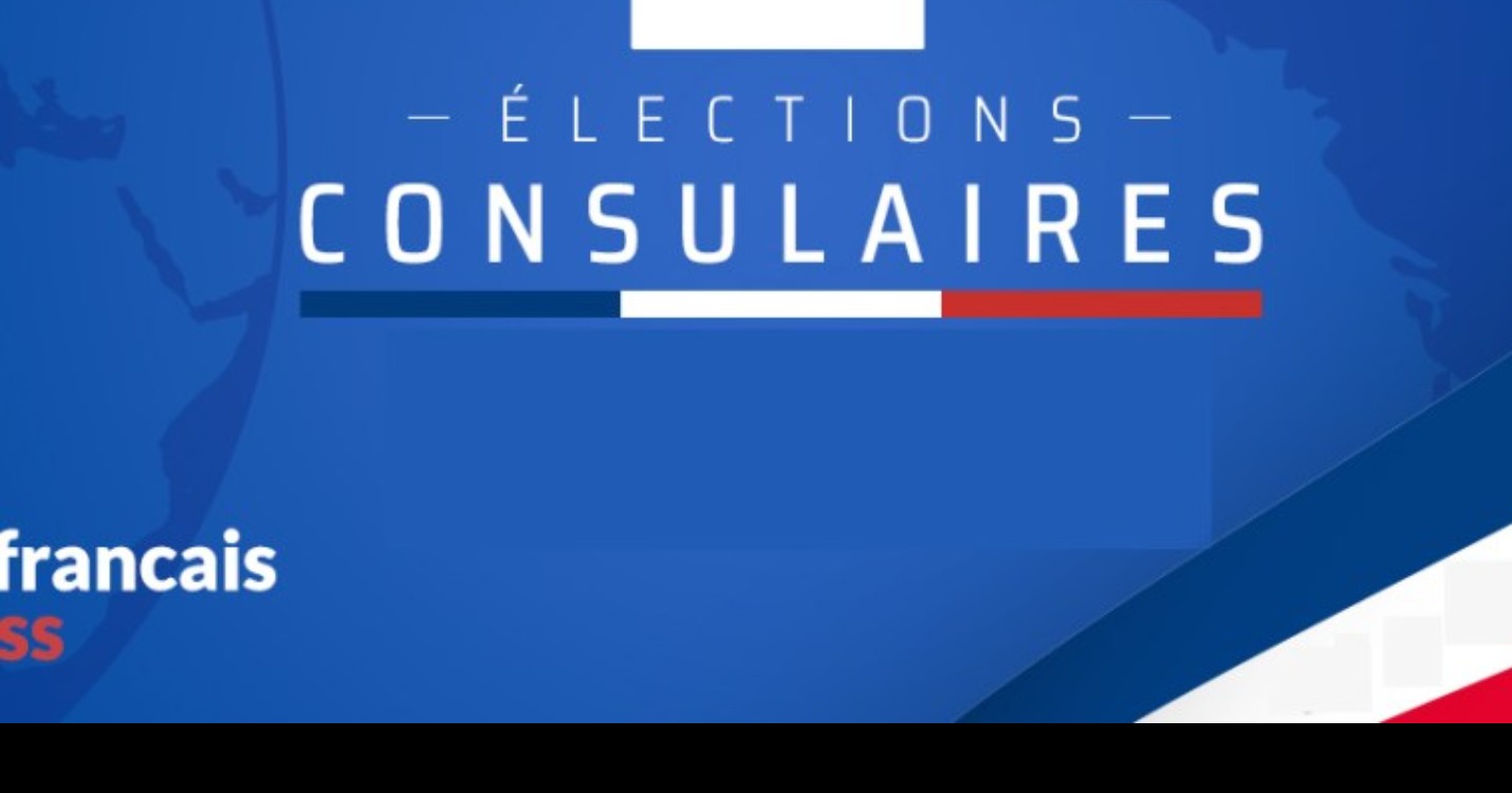 Consulaires partielles le 7/11 Elections AFE le 05/12