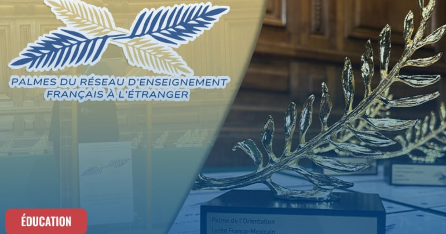 Les Palmes de l’EFE : tout savoir sur l’édition 2026 !