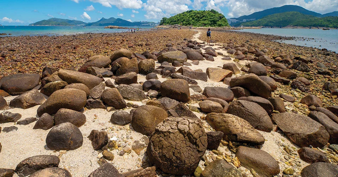 Sharp Island : les coraux résistent  – Boogie Woogie Photography présente « Of Silk and Soil »