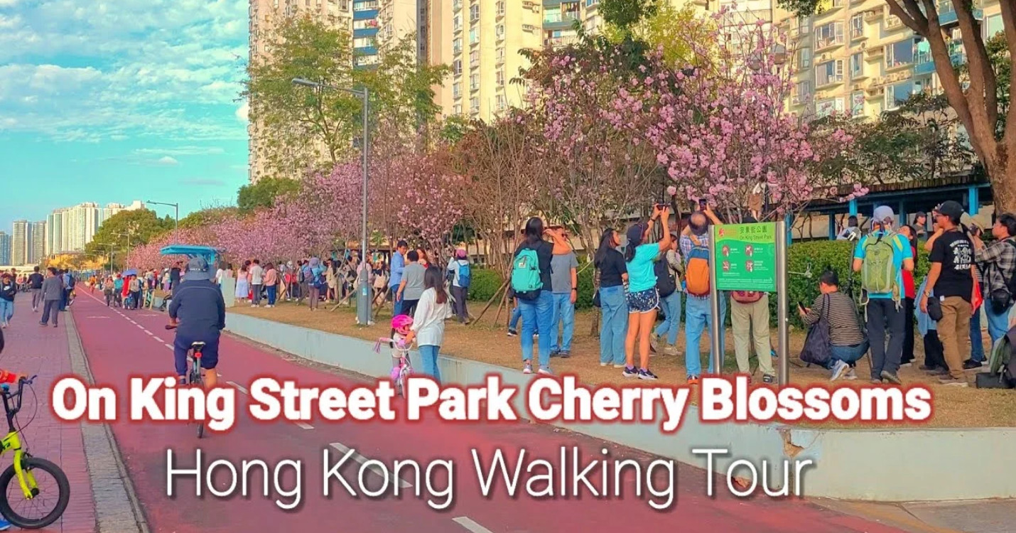 Affluence pour les cerisiers en fleurs -Webinaire VIA Gestion Privée Internationale demain Mardi 19h