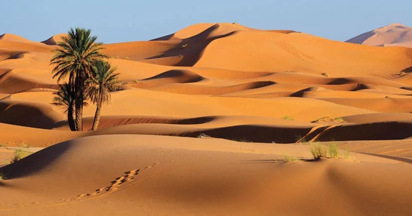 Expérience du désert