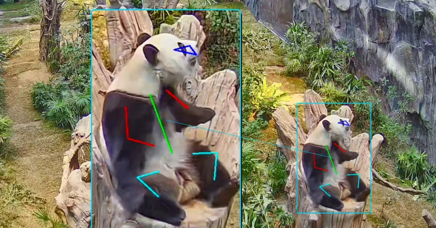 L’algorithme au service des pandas – Cabaret by Mayaa : dîner-spectacle caritatif le 7 mai