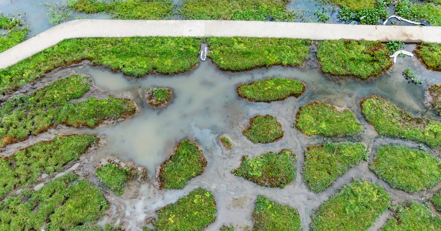 Pollution pétrolière importante à Pui O – Gala de bienfaisance du LFIS : Samedi 21 mars